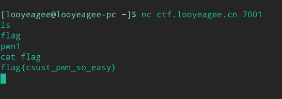 图1:pwn